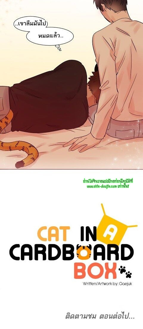 Cat in a Cardboard Box EP 11